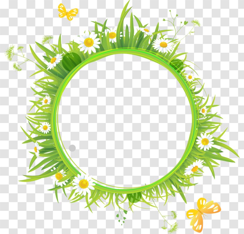 Poster Icon - Grass - Chamomile Box Transparent PNG
