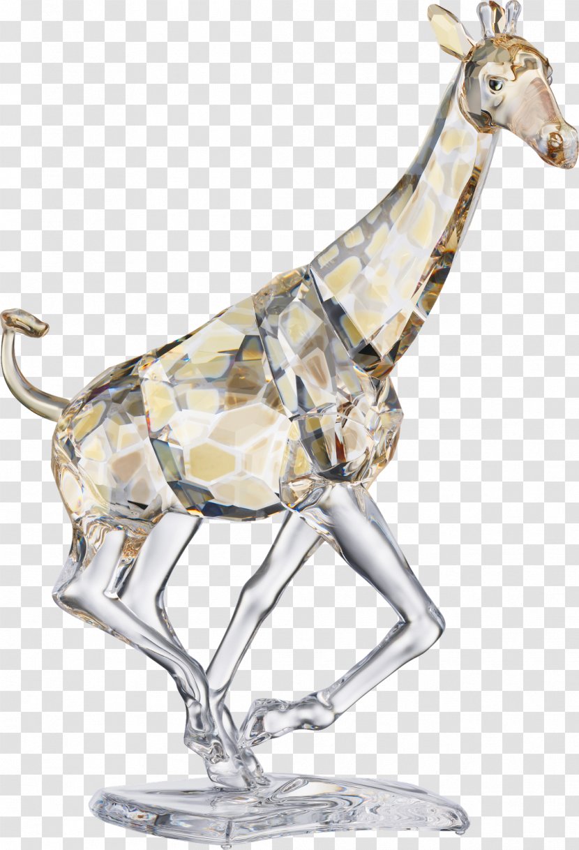 Swarovski AG Crystal Figurine Giraffe Glass - Mammal Transparent PNG