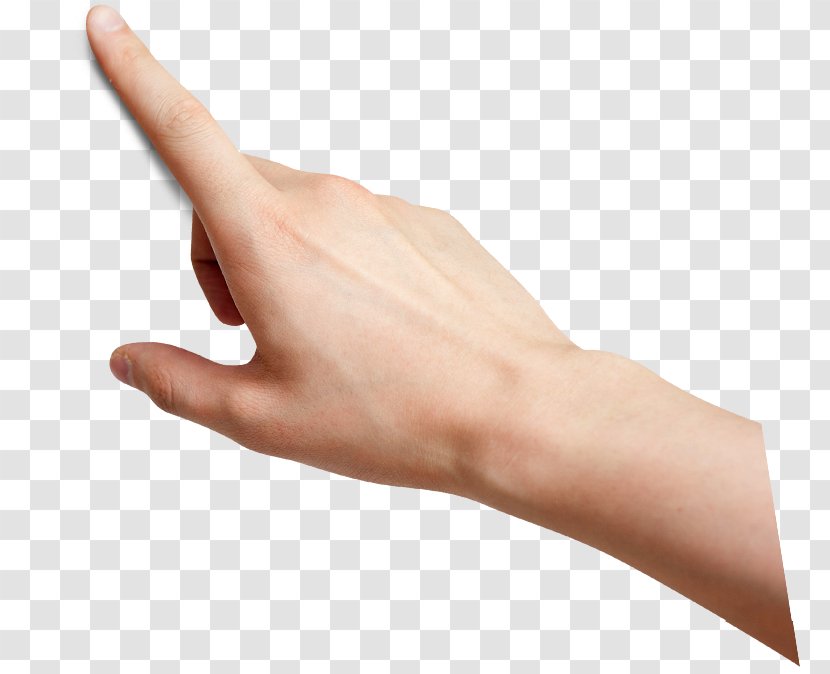 Hand Thumb Finger - Copying - Hands Images Transparent PNG