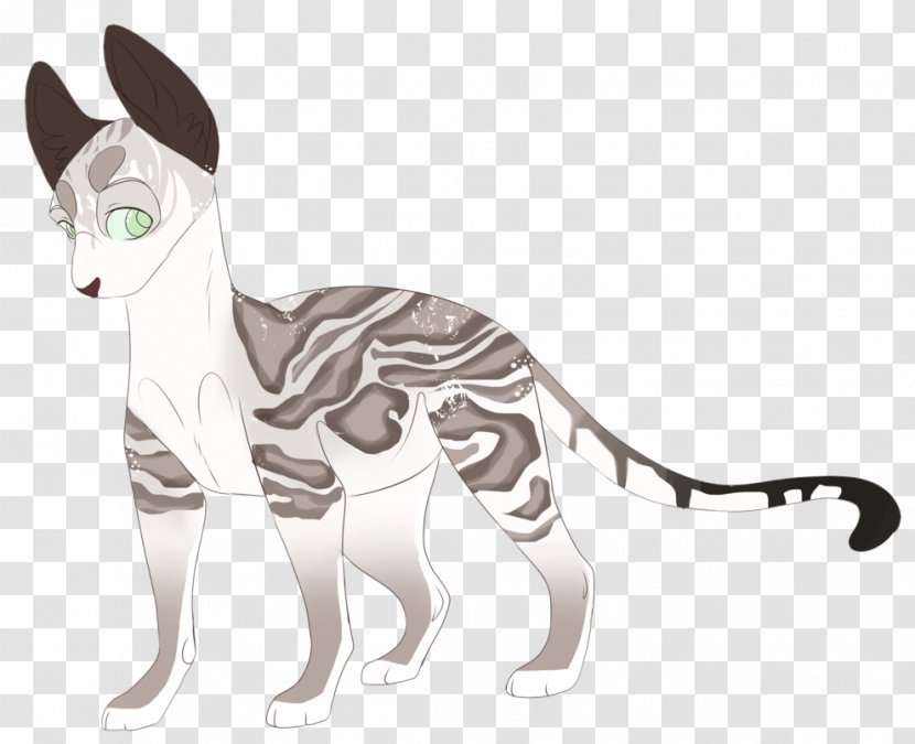 Whiskers Cat Canidae Dog Mammal - Animal Transparent PNG