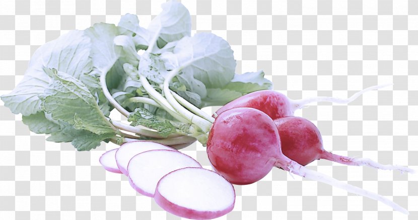 Radish Vegetable Food Turnip Plant - Leaf Superfood Transparent PNG