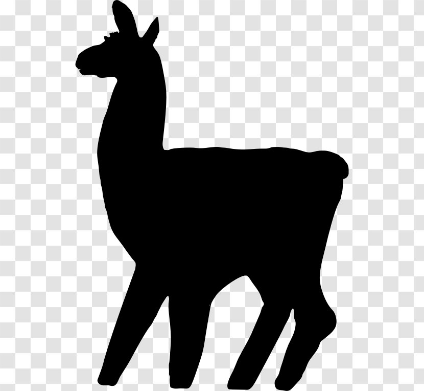 Llama Alpaca Clip Art - Horse Like Mammal - Black And White Transparent PNG