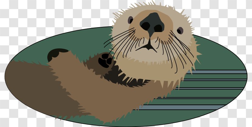 Sea Otter North American River Clip Art - Seals - Otters Transparent PNG