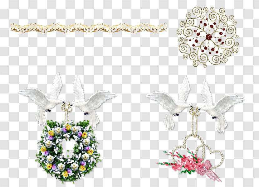 Digital Image Photography Typical Pigeons Drawing - Cut Flowers Transparent PNG