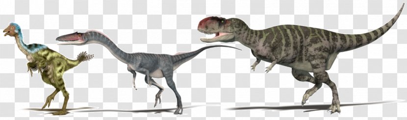 Velociraptor BMW Dinosaur Animal - Mammal - Roaring Transparent PNG