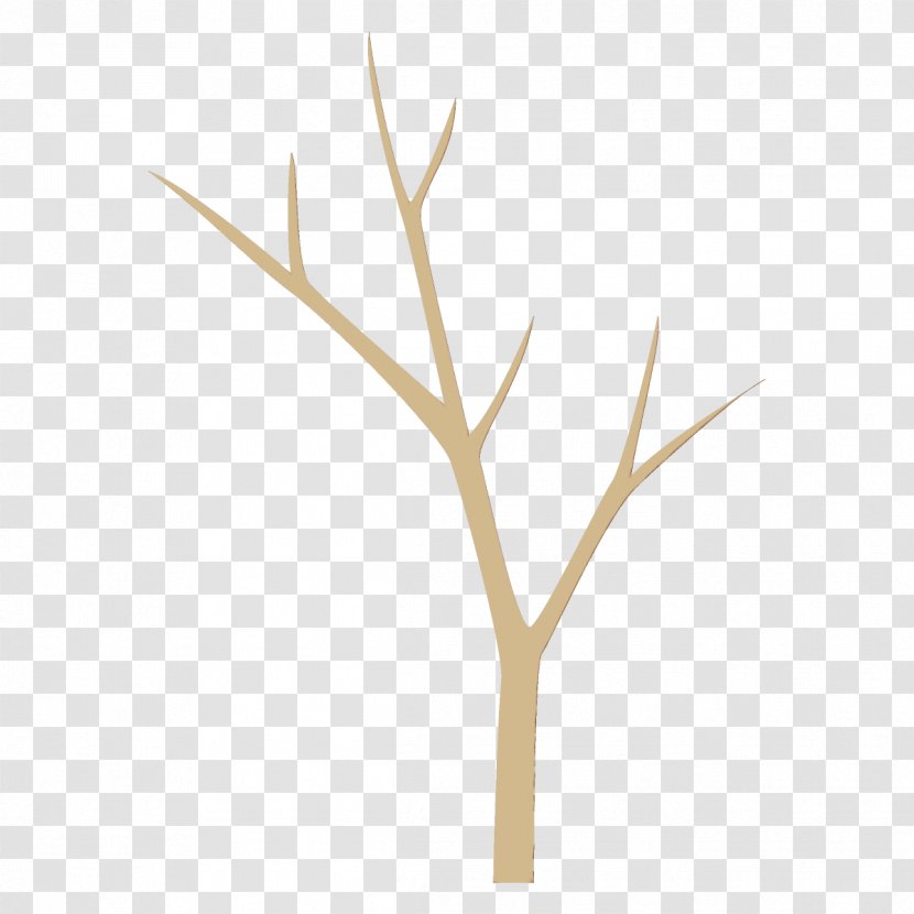Branch Twig Plant Leaf Tree - Stem - Grass Transparent PNG