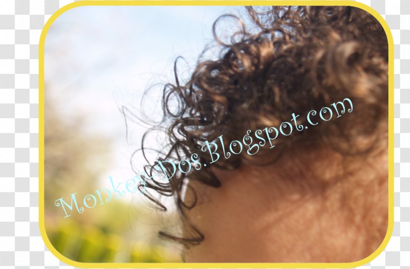 Long Hair Coloring Black Homo Sapiens Transparent PNG