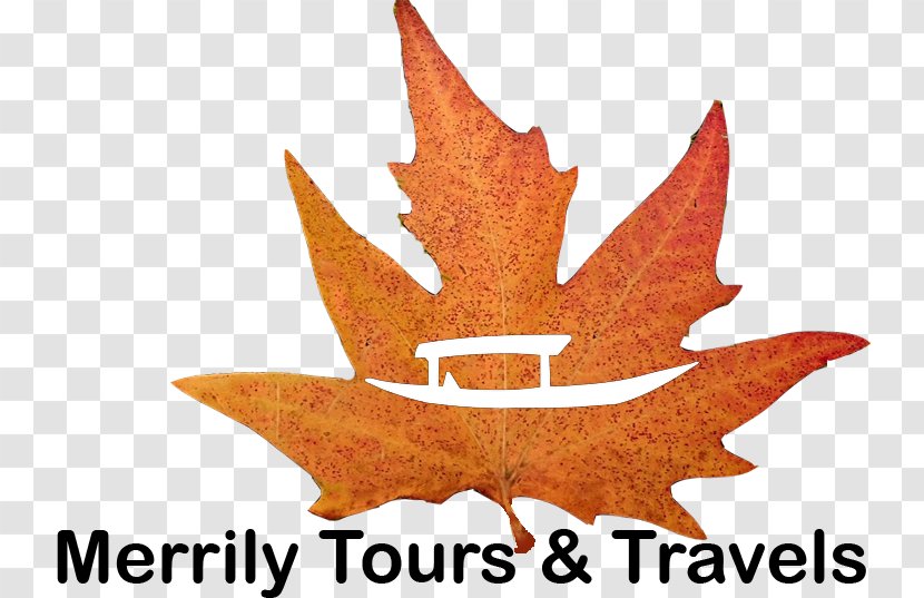Srinagar Travel New York Jets Hotel Maple Leaf - Plant - Vaishno Devi Transparent PNG