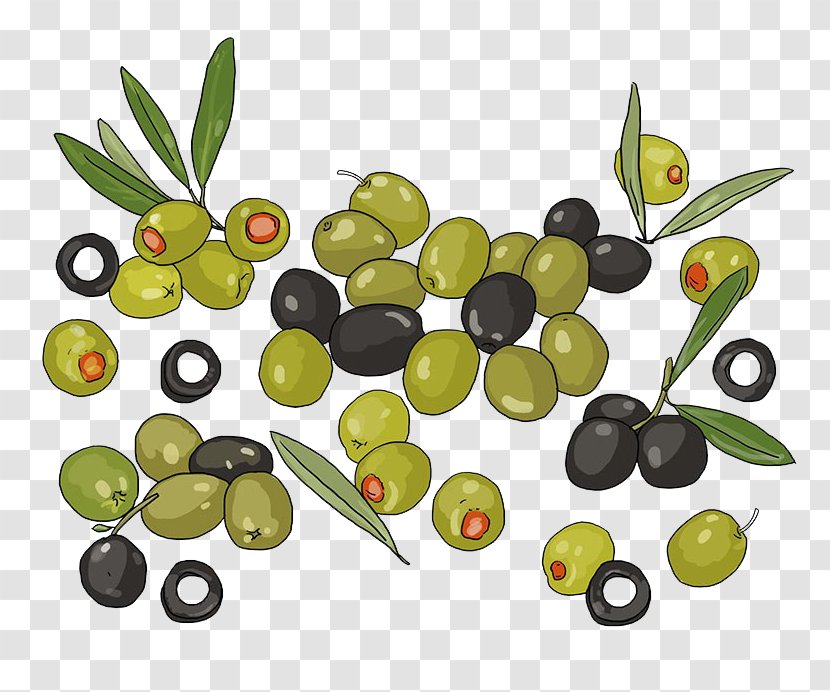 Olive Vecteur Google Images - Multiple Olives Transparent PNG