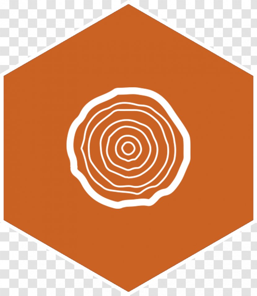 Circle Brand Angle Pattern - Orange Transparent PNG