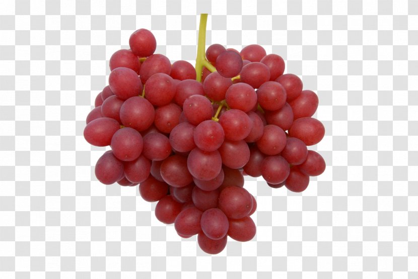 Common Grape Vine Sultana Table Seedless Fruit - Schisandra - Brown Red Transparent PNG