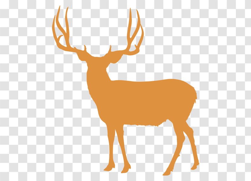 Elk White-tailed Deer Reindeer Utah - Horn - Antler Transparent PNG