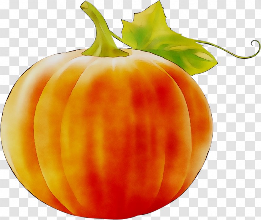 Pumpkin Gourd Calabaza Winter Squash Vegetarian Cuisine - Superfood - Nightshade Family Transparent PNG