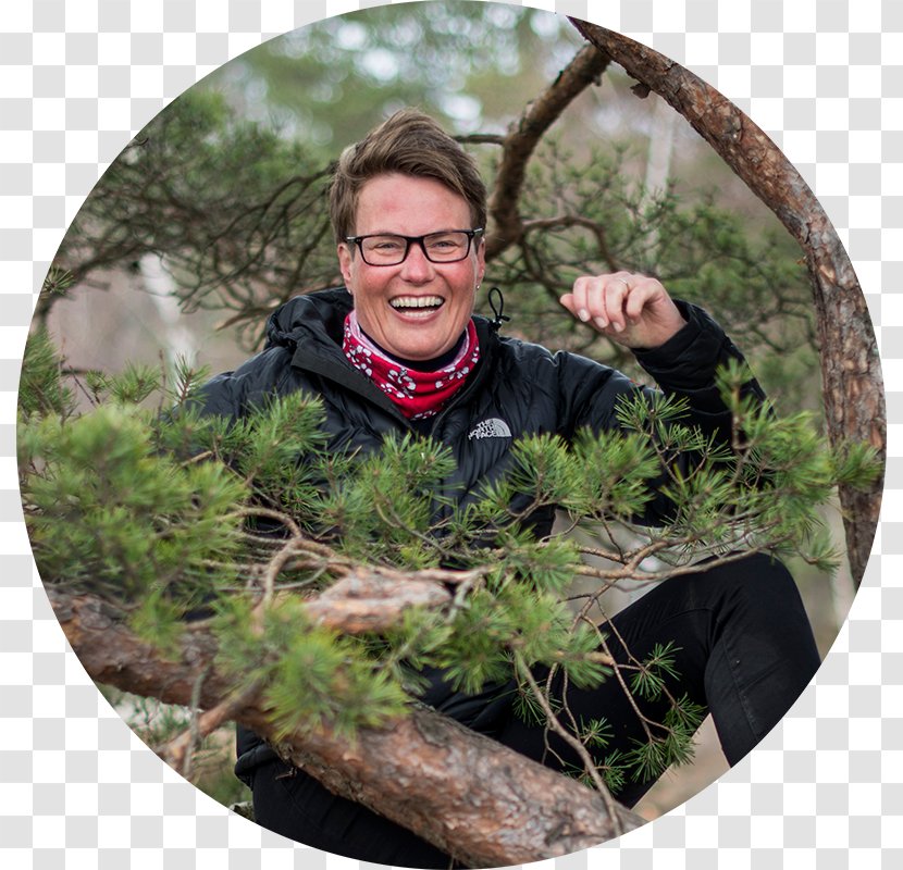 Tree Streaming Media Outdoor Recreation Tine Sundtoft - Grass Transparent PNG