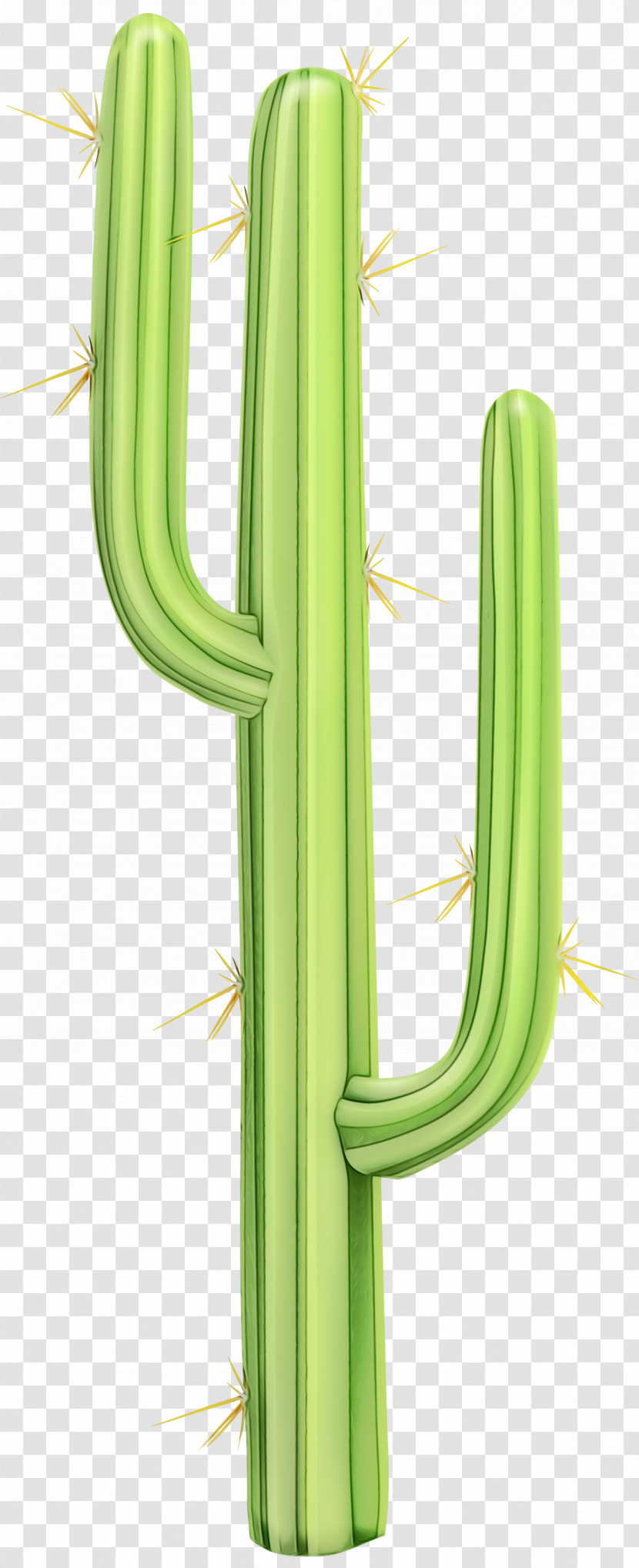 Cactus Transparent PNG