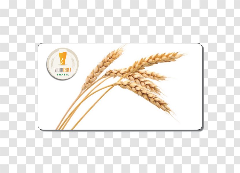 Wheat Beer Common Grodziskie Cereal Transparent PNG