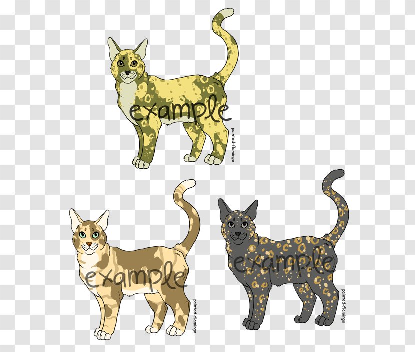 Tabby Cat Kitten Whiskers Dog - Animated Cartoon Transparent PNG