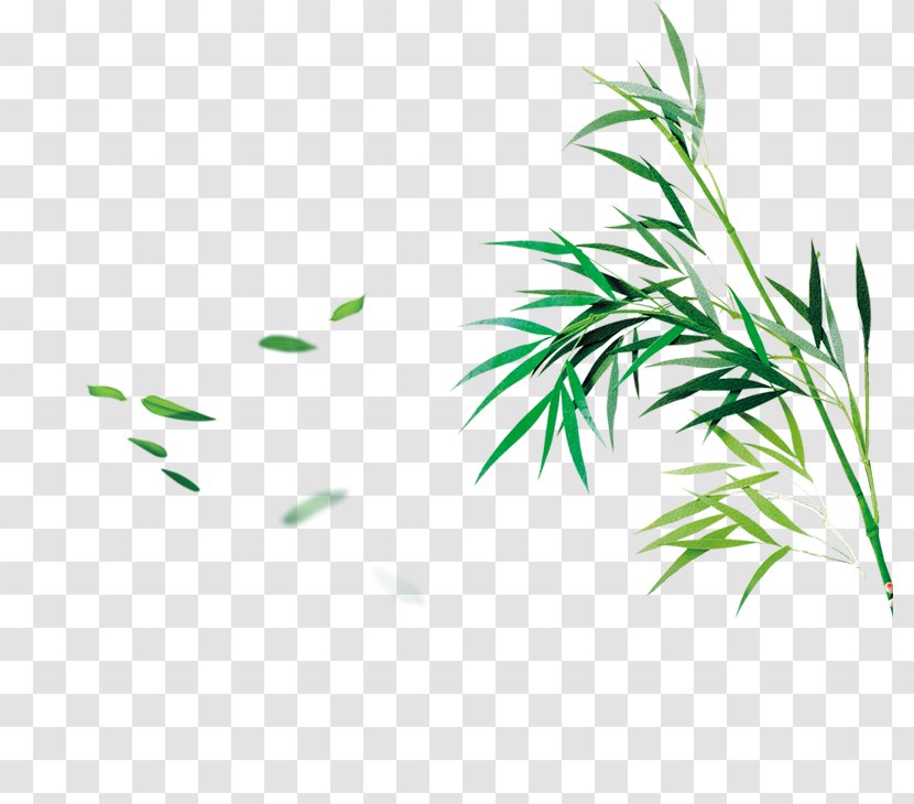 Bamboo Bamboe Computer File - Grass Family Transparent PNG