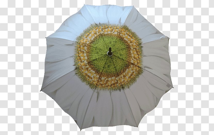 Umbrella White Flower Garden Waterproofing Transparent PNG