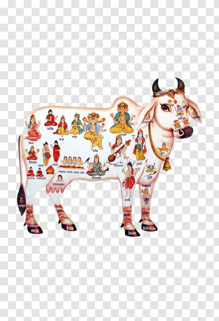 Krishna Cattle In Religion And Mythology Hinduism Goshala - Organization Transparent PNG
