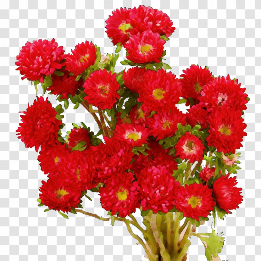 Floral Design Transparent PNG