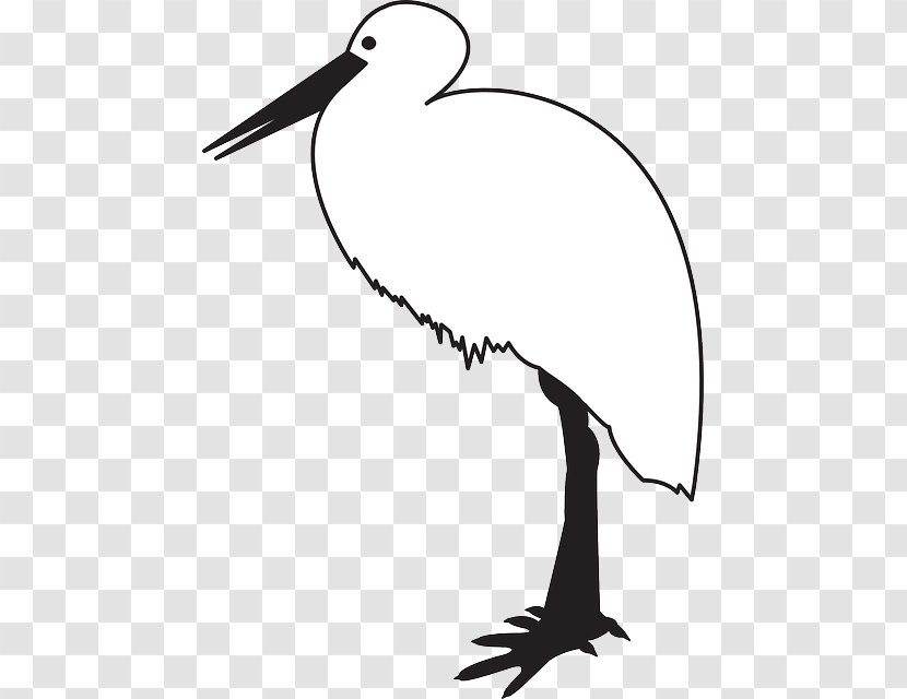 White Stork Bird Black Beak Clip Art - Wing Transparent PNG