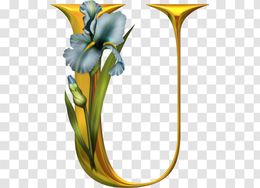 Letter English Alphabet - Flower - Floral Transparent PNG