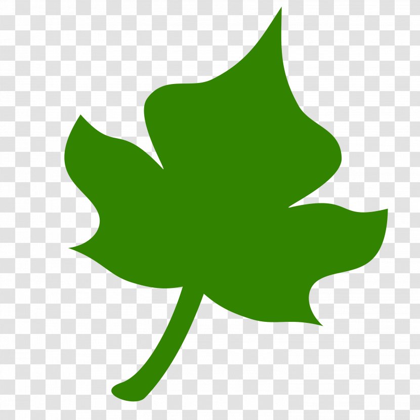 Ivy - Tree - Logo Transparent PNG