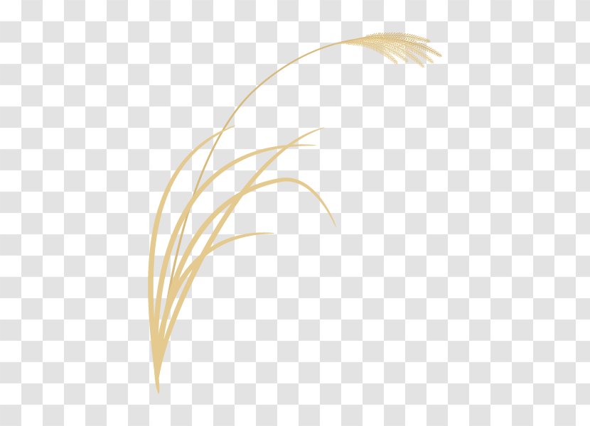 Chinese Silver Grass Illustration Illustrator Graphics Design - Silhouette - Grasses Transparent PNG