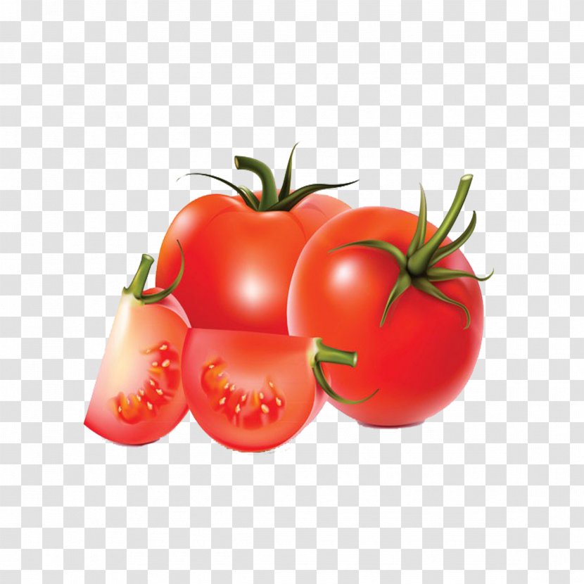 Tomato Vegetable Drawing - Potato And Genus Transparent PNG