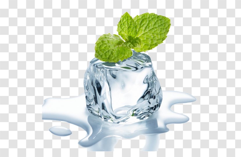 Iced Tea Mint Electronic Cigarette Aerosol And Liquid Flavor Transparent PNG