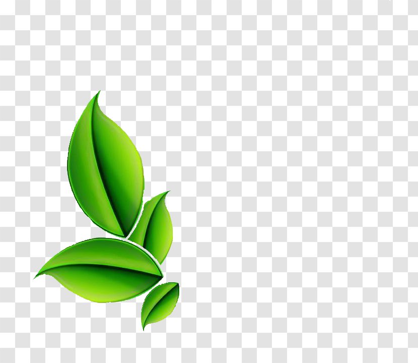 Logo Design Herb Product Sadaqat Dawakhana - Grass Transparent PNG