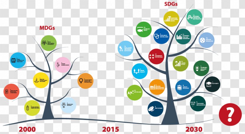 Millennium Development Goals Sustainable Sustainability United Nations - Goal - International Transparent PNG