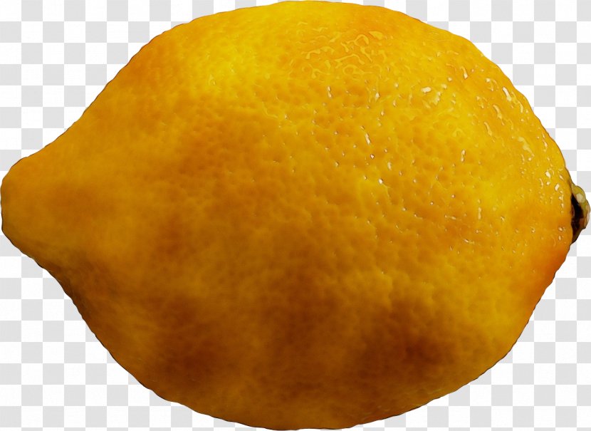 Lemon Citron - Citrus - Yellow Transparent PNG