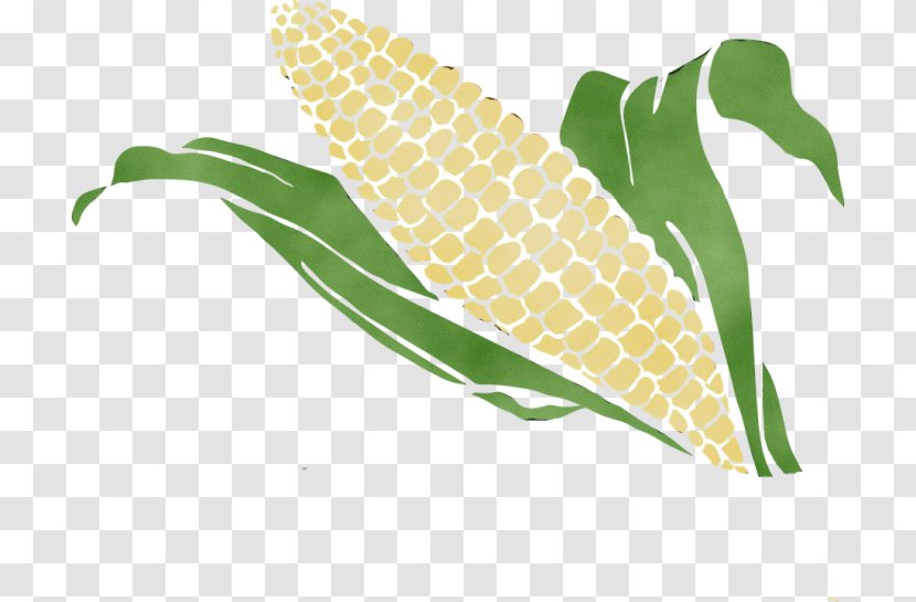 Drawing Of Family - Corncob - Arum Corn On The Cob Transparent PNG