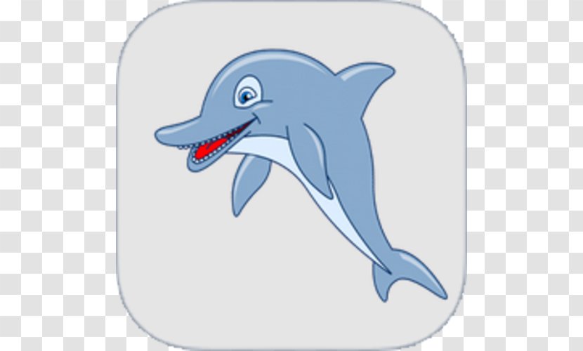 Common Bottlenose Dolphin Tucuxi Short-beaked Rough-toothed Wholphin - Marine Mammal - Dental Smile Transparent PNG