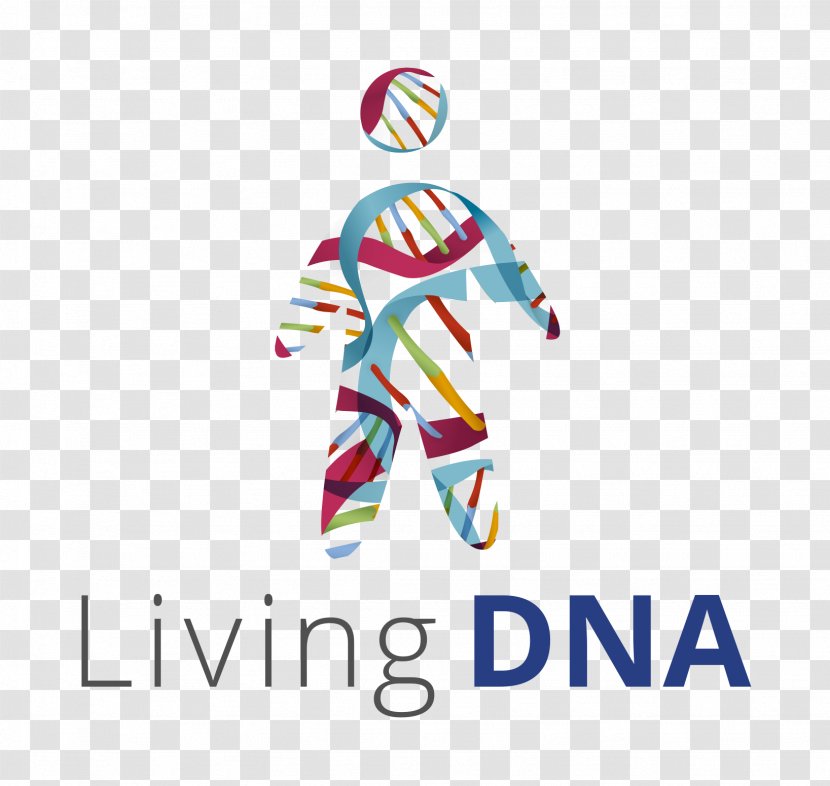 Genealogical DNA Test Genetic Testing Genealogy Family Tree - Dna Transparent PNG