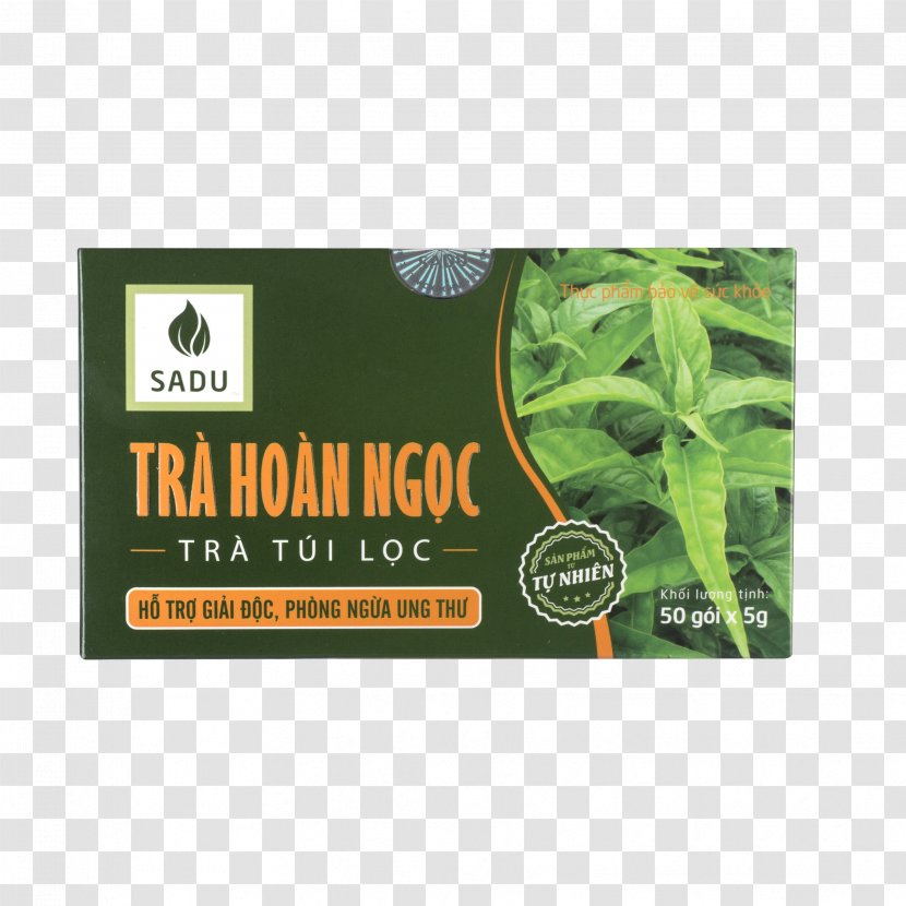 Tea Herb Nông Nghiệp Công Nghệ Cao Shop Rừng Vàng Root - Disease Transparent PNG