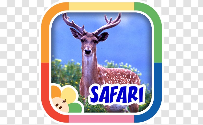 Android Google Play App Store - Fauna Transparent PNG