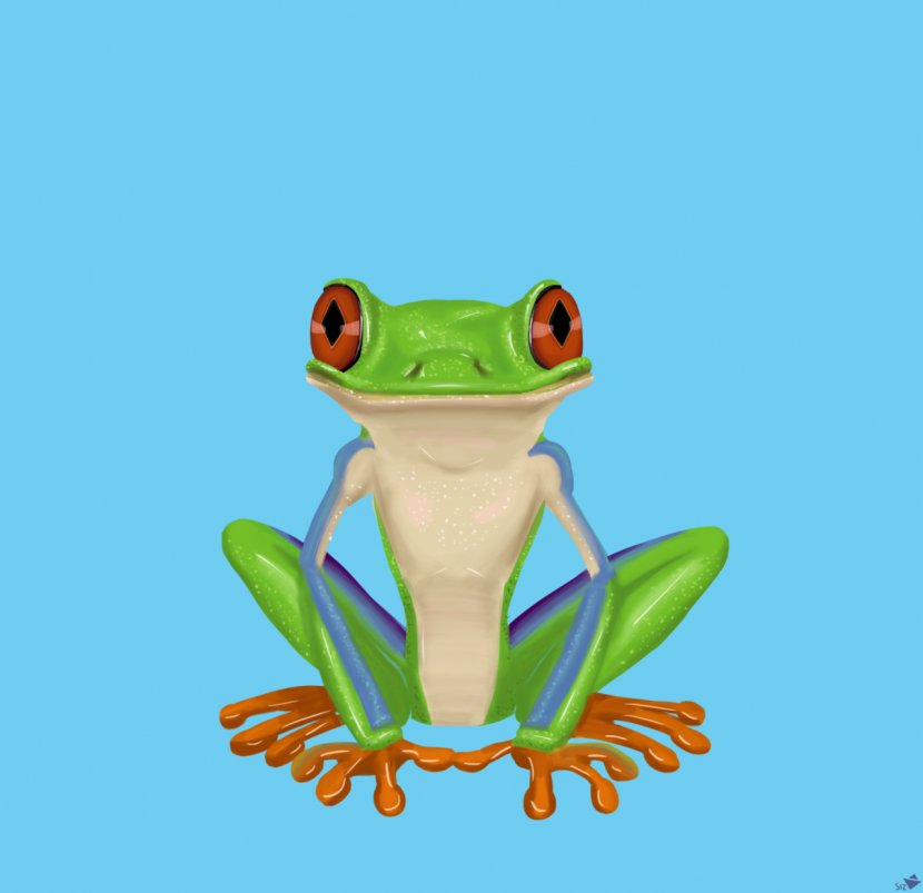Red-eyed Tree Frog The Drawing - Organism Transparent PNG