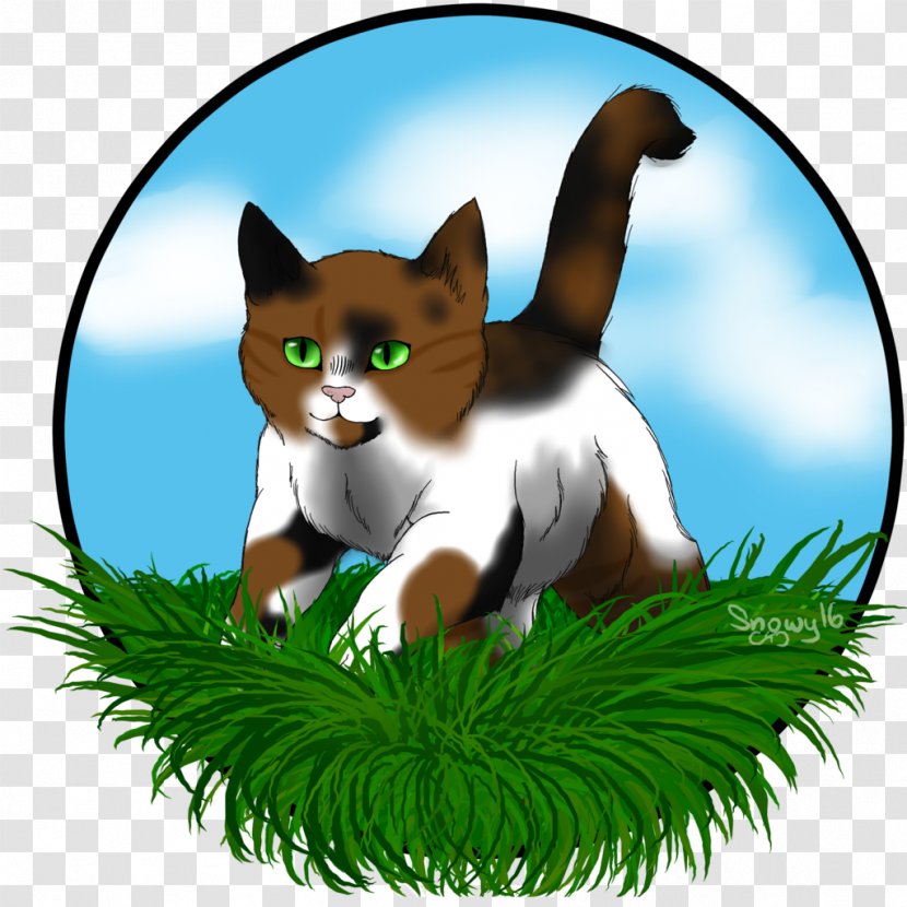 Whiskers Kitten Cat Red Fox - Small To Medium Sized Cats Transparent PNG