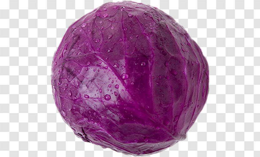 Red Cabbage Broccoli Vegetable Render - Violet Transparent PNG