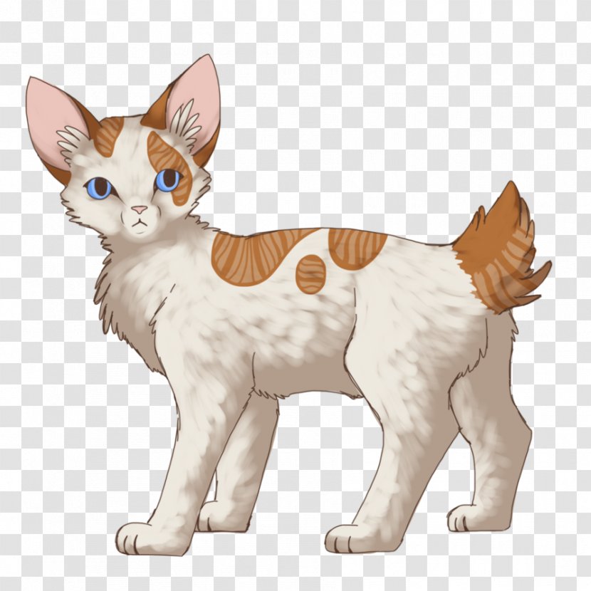 Kitten Whiskers Japanese Bobtail American Donskoy Cat - Breed Transparent PNG