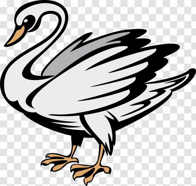 Duck Coat Of Arms Heraldry Symbol Black Swan Transparent PNG