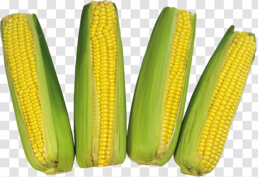 Maize Sweet Corn On The Cob Clip Art - Vegetable Transparent PNG