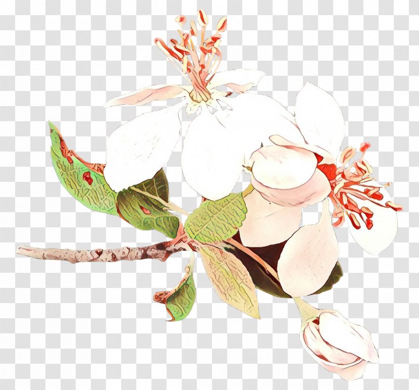 Flower Plant Leaf Blossom Twig Transparent PNG