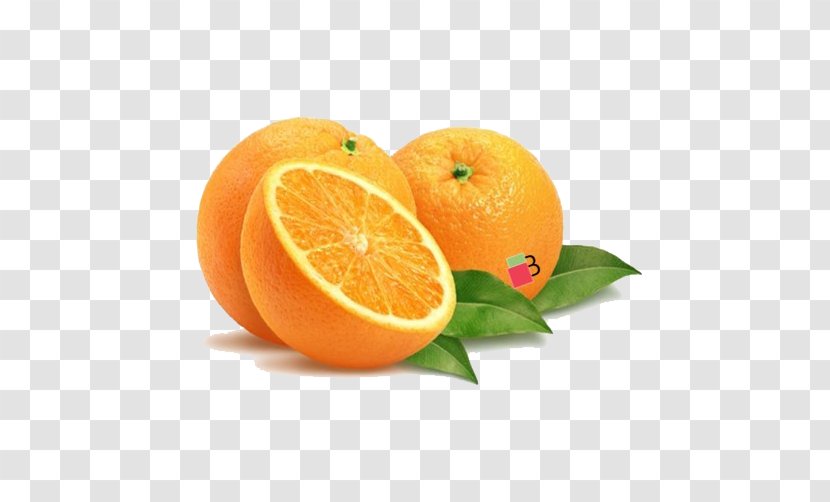 Orange Juice Grapefruit Vegetable - Valencia Transparent PNG