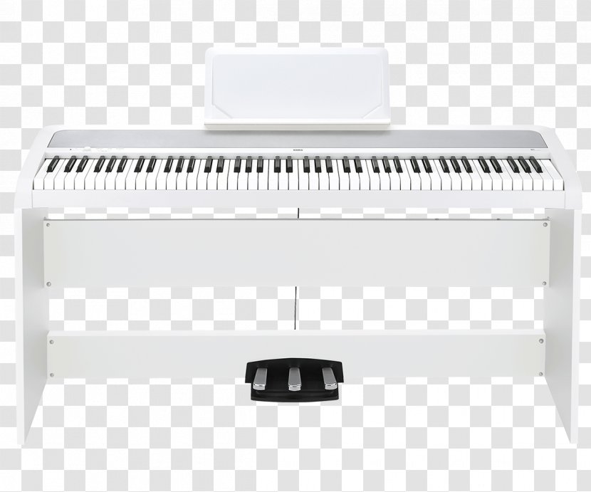 KORG B1SP Keyboard Digital Piano Musical Instruments - Watercolor Transparent PNG