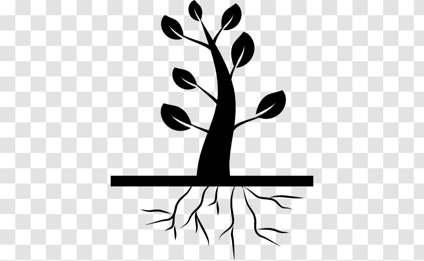 Branch Root Tree Clip Art - Leaf Transparent PNG