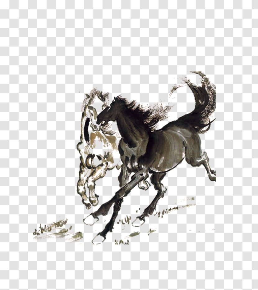 Horse Bo Le Recruitment - Bridle - Mustang Run Transparent PNG